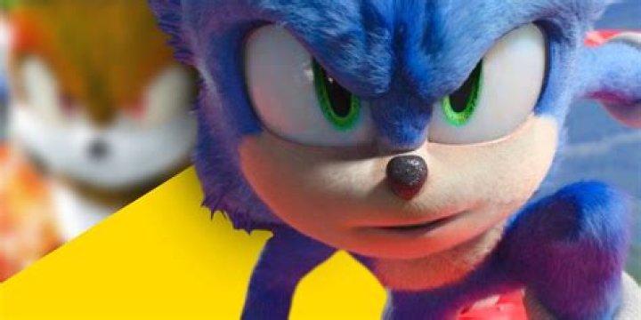 A blue hedgehog.