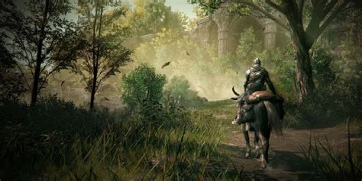 A screenshot from the Elden Ring expansion, Shadow of the Erdtree
