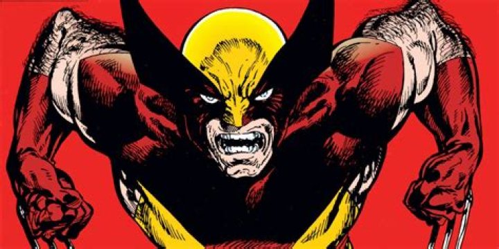 Wolverine snarls at the viewer with his claws out on the cover of Wolverine #17, Marvel Comics (1989). 