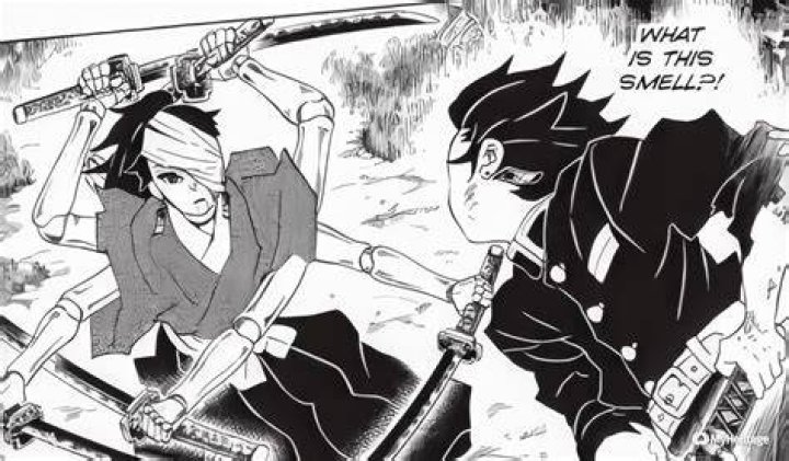 Yoriichi Type Zero having 6 arms in Demon Slayer (Image via Koyoharu Gotouge/Shueisha)